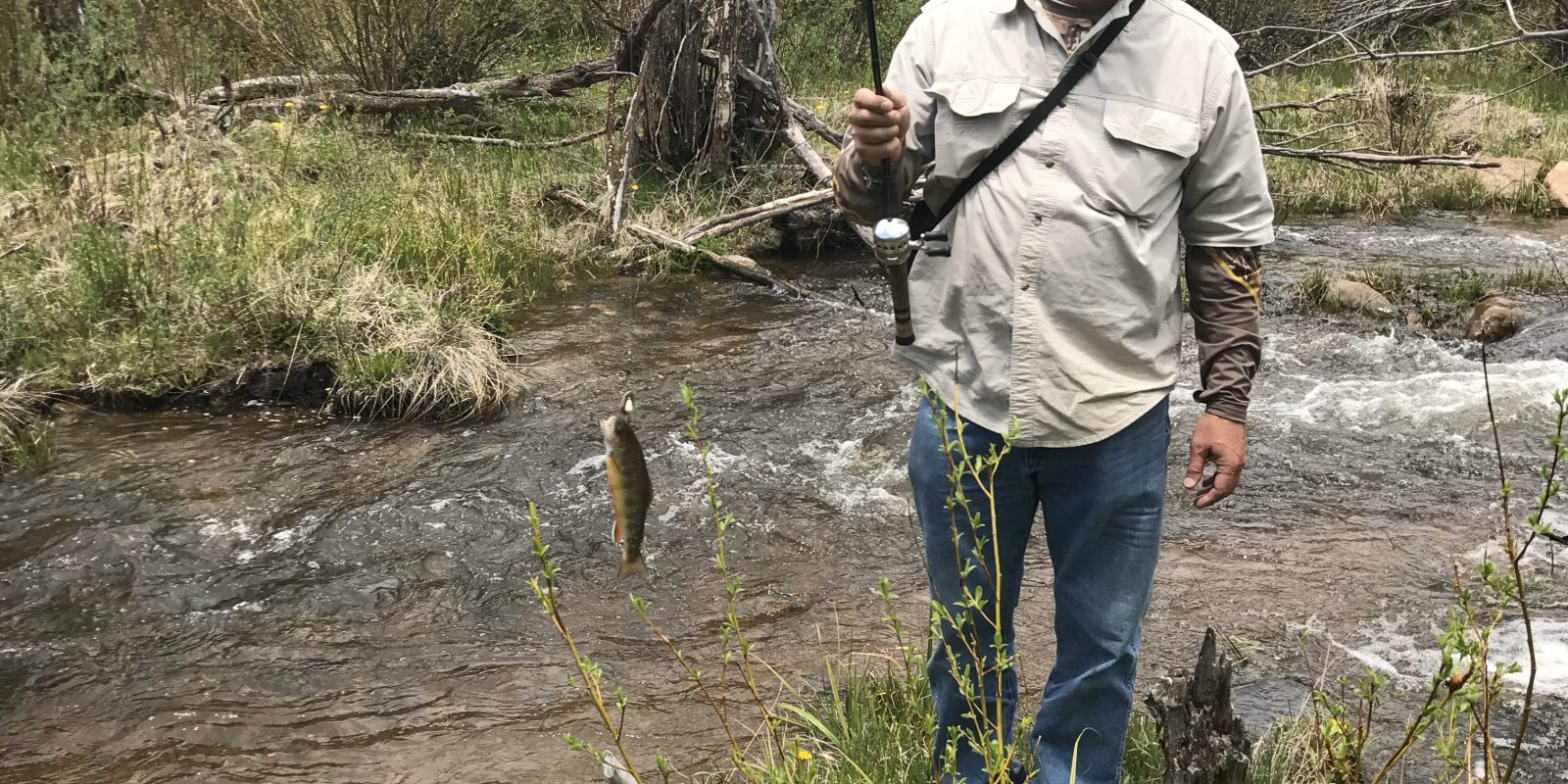 Gunnison Country Outfitters | Colorado Elk Hunting